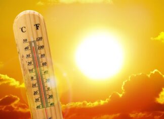 Anul 2019 a fost printre cei mai călduroşi ani înregistraţi vreodată. Ce înseamnă asta?