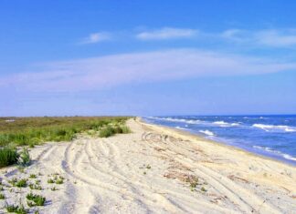 Investiţie de peste 1,67 miliarde de lei pentru reabilitarea plajelor din România