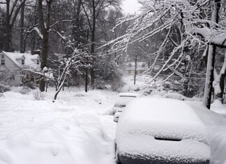 Cod galben în 19 judeţe din ţară