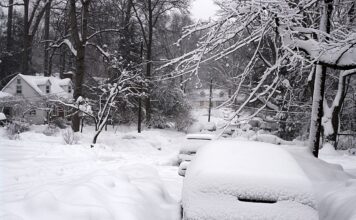 Probleme în 11 județe din România, din cauza ninsorii și a viscolului
