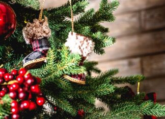 Ce mesaje de Crăciun au transmis politicienii