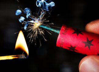 Căţelul desfigurat de petardă a fost operat. Ce urmează acum?