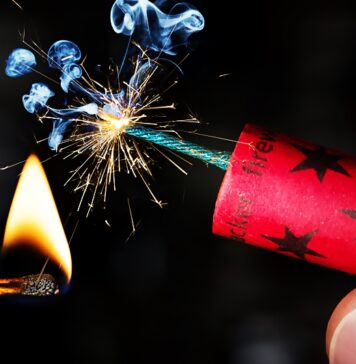 Căţelul desfigurat de petardă a fost operat. Ce urmează acum?