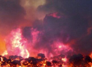 #News – Australia este sub asediul focului