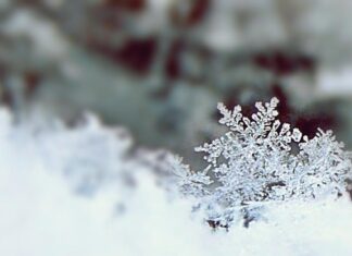 Vine frigul, bine-mi pare, în garaj am sănioare fotograf iulia kelt