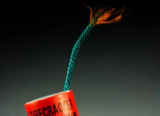 Cruzime fără margini! Câine desfigurat de petardă.