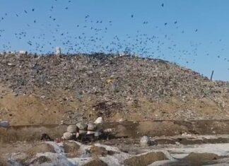 #News – Comisia Europeană a decis: gropile de gunoi sunt periculoase pentru sănătea cetățenilor