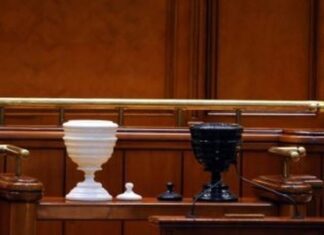 Moțiunea de cenzură a PSD, simulacru scris de portarul Vasile?