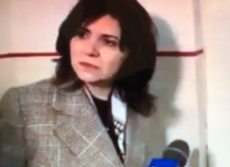 Monica Anisie, polițista