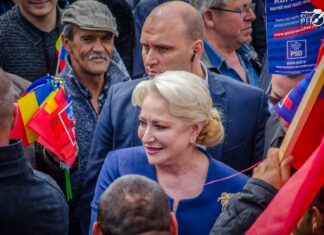 Dăncilă nu e proastă, broșa e de vină Iulia Kelt