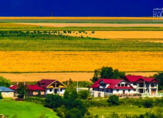 Fose septice „la toată lumea”!