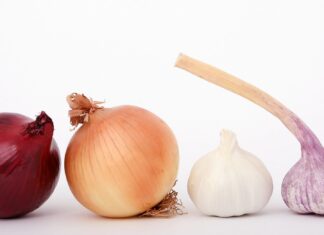 Gata, s-a rezolvat! Olivia Steer are antidotul pentru Coronavirus