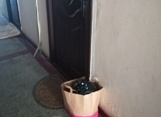 #News – Bunul simț, termen necunoscut multor români gunoi lasat la usa