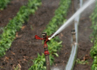 O nouă modalitate de irigații în județul Buzău