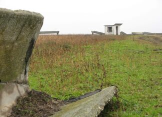 Petre Daea: România are la dispoziție 1,5 miliarde de euro din fonduri UE pentru irigații