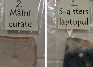 Cât de important este să te speli pe mâini?