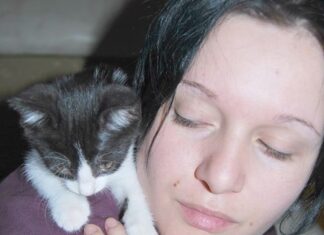 Cum știi dacă pisica ta te iubește?