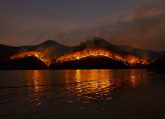 Atmosfera ar putea să se schimbe din cauza fumului din Australia