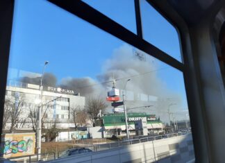 BREAKING NEWS: Incendiu în Delta Văcărești