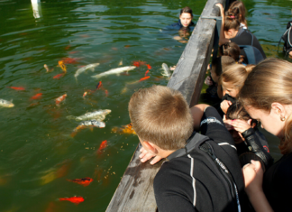 Terapia fără psiholog – alternativa are un nume