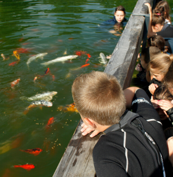 Terapia fără psiholog – alternativa are un nume