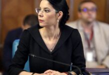 Birchall, ironică: „Tăriceanu, un politician fără nicio problemă cu Justiția”