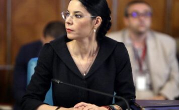 Ana Birchall cere revizuirea Constituției