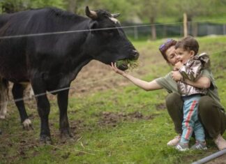 Olimpiada Compașiunii, organizată de primul sanctuar al animalelor de fermă salvate