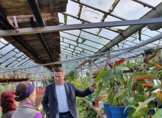 Primar PNL, condamnat la închisoare