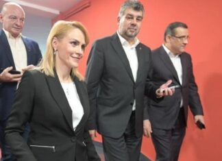 Firea, sprijin din partea PSD, pentru a bloca PNL în Parlament
