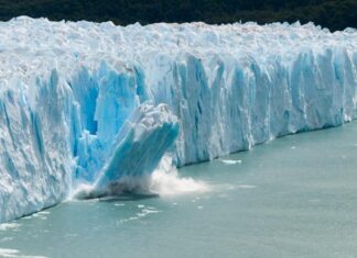 Temperaturile record de la Polul Sud pot readuce la viață virusuri mortale