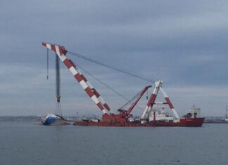 #NEWS- Comănescu, Stanca și milioanele de euro: Auschwitz- ul oilor de la Tulcea