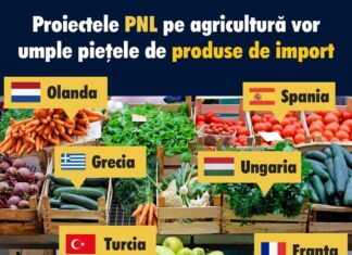 PSD acuză PNL de faptul că nu ar guverna pentru popor