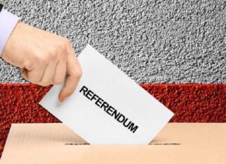 Gabi Firea vrea referendum în Capitală, s-a săturat de atacurile Opoziției