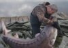 Un sturion salvat de către un pasionat de piscicultură Un sturion salvat de către un pasionat de piscicultură