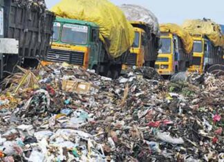 Guvernul vrea să combată traficul ilegal de deșeuri din România cu ajutorul unui proiect pilot