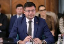Mita în tablă, pentru firma soției lui Alexe Costel Alexe