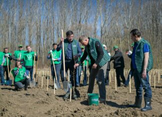 USR nu uită și nu iartă: DNA-ul Pădurilor, cel atacat la CCR, trebuie să existe! Costel Alexe, Klaus Iohannis, Ludovic Orban