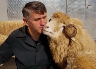 Cristian Pomohaci continuă să facă obrăznicii