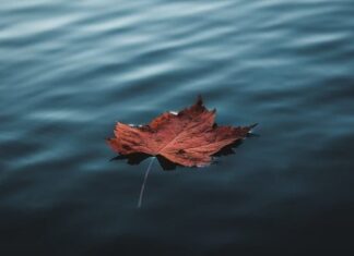 România în derivă