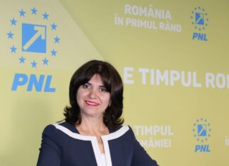 Anisie, trasă de urechi de un europarlamentar PSD
