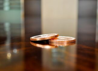 Violeta Alexandru și bugetul pentru pensii