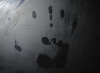 Violența în două filmulețe simple