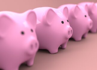 Cum să-i sperii pe români: le interzici creșterea porcilor