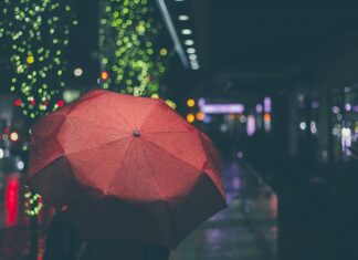 Vremea probabilă a următoarelor zile