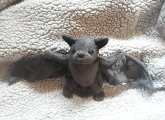 Liliecii, coronavirusul și principalul vinovat