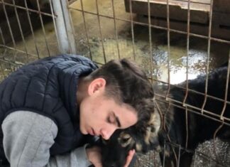 Costi: un copil de la orfelinat și animalele fără stăpân