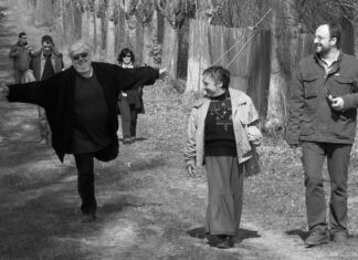 Pleșu și muzica lăutărească anti-izolare