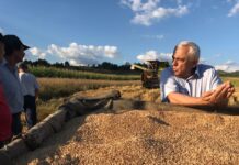 De ce n-a avut Petre Facebook? Daea!