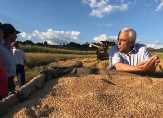 Daea taia oaia-n două: Am văzut foarte multe date total eronate